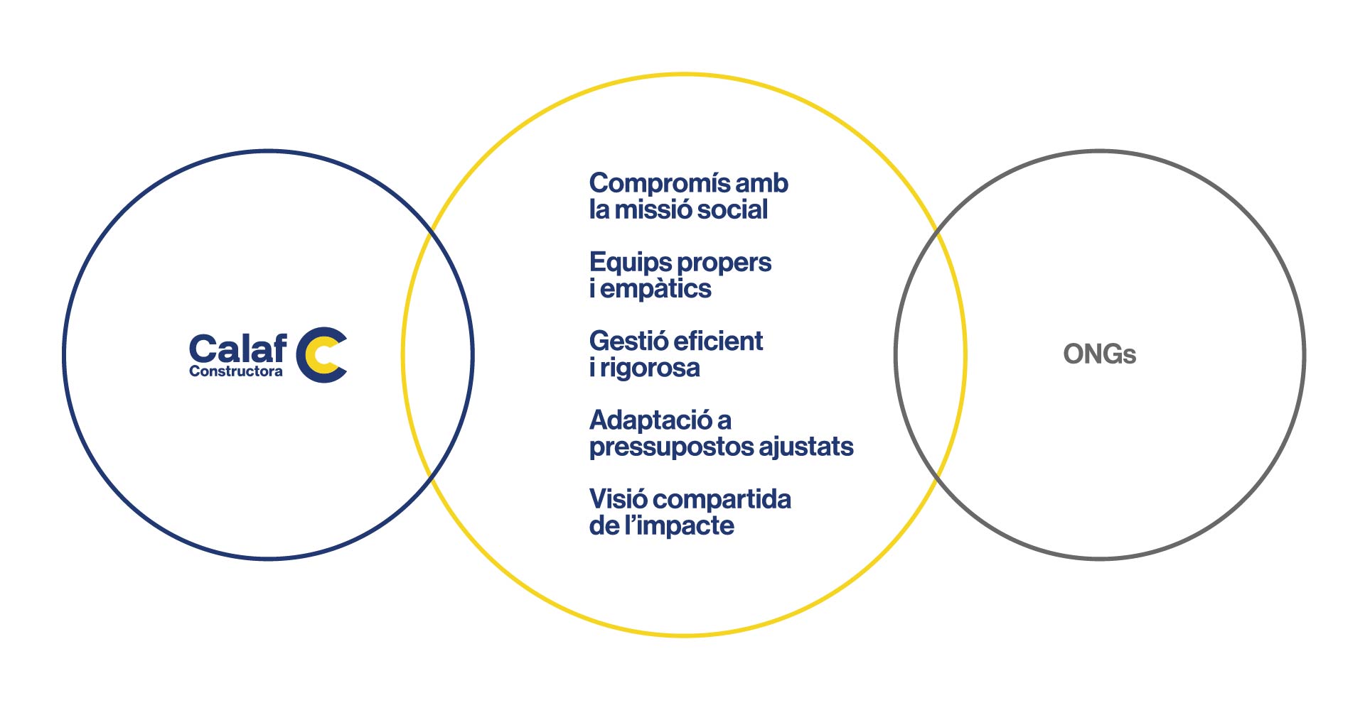 Inforgrafia sobre el que oferim com a constructora per a ONG