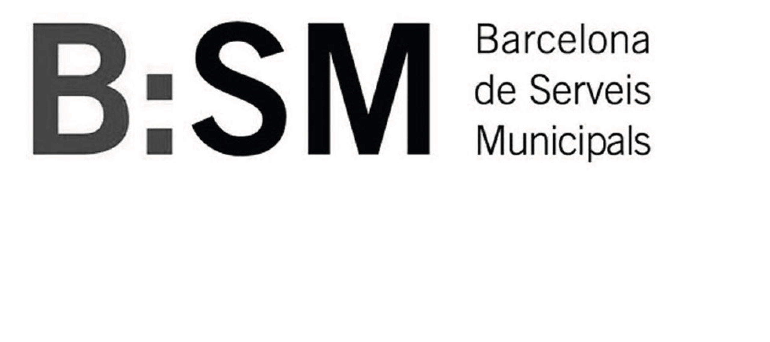 BSM Barcelona de Serveis Municipals