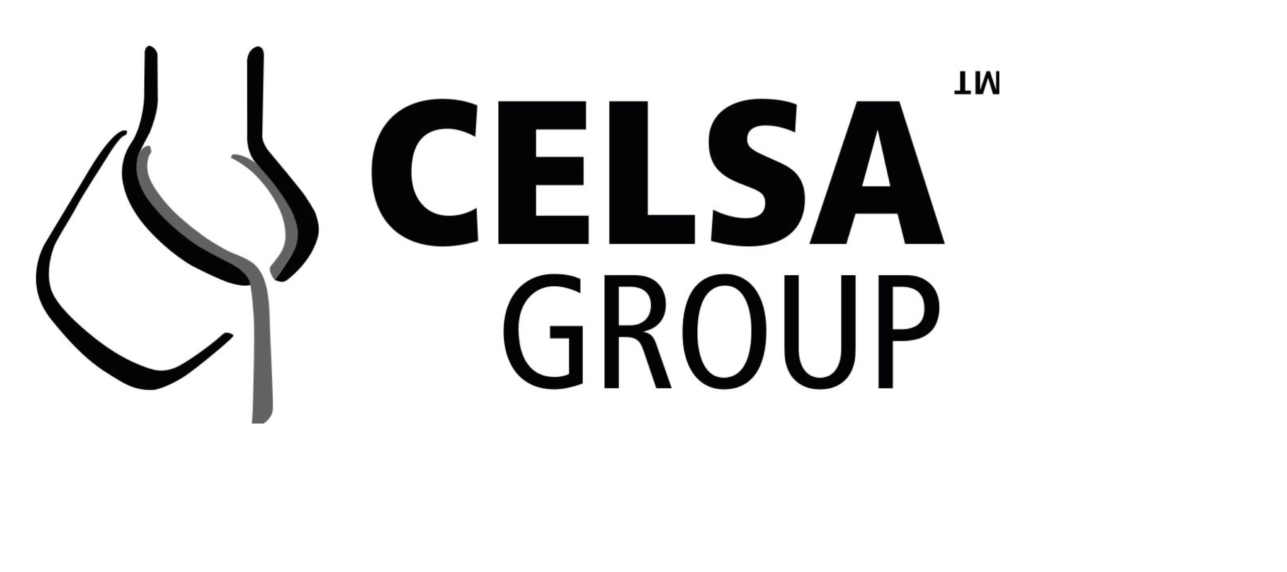 CELSA GROUP