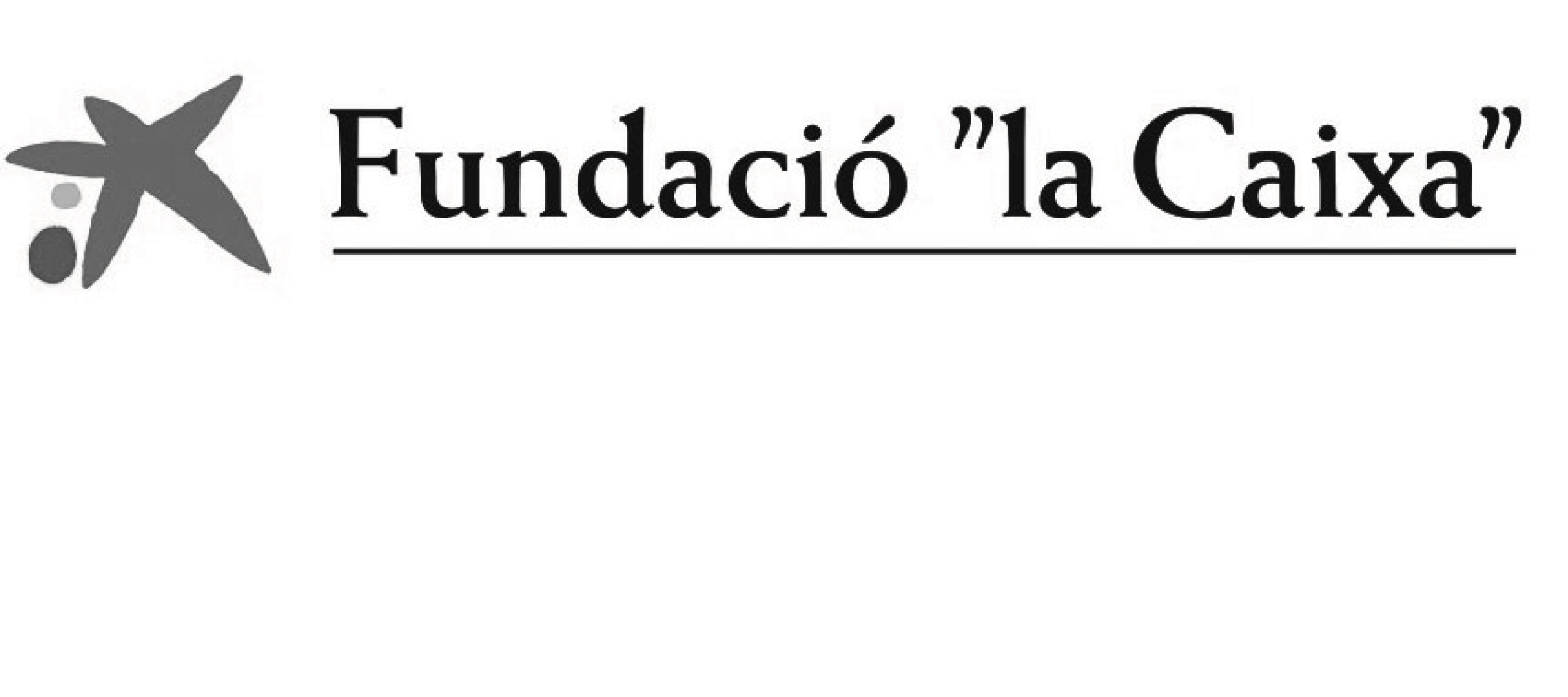 Fundació la Caixa