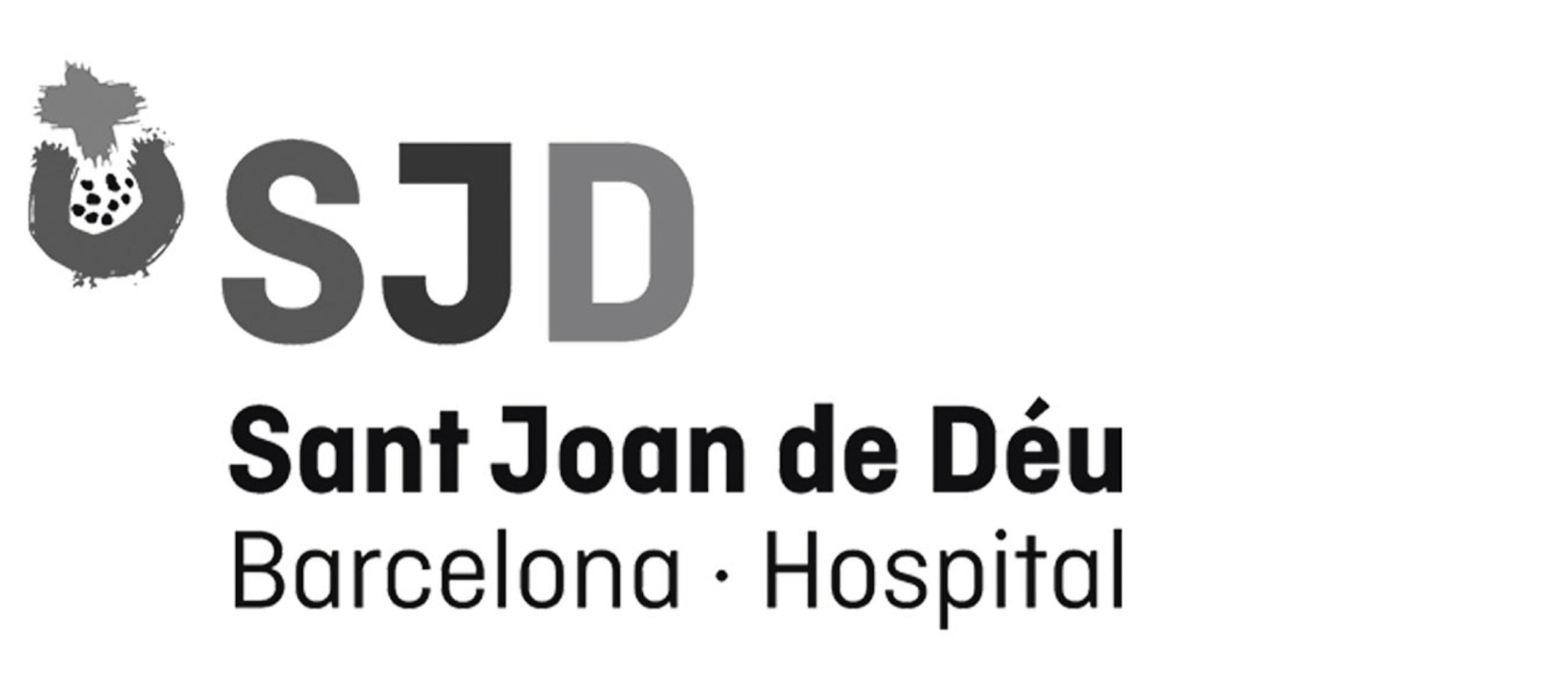Sant Joan de Déu Hospital